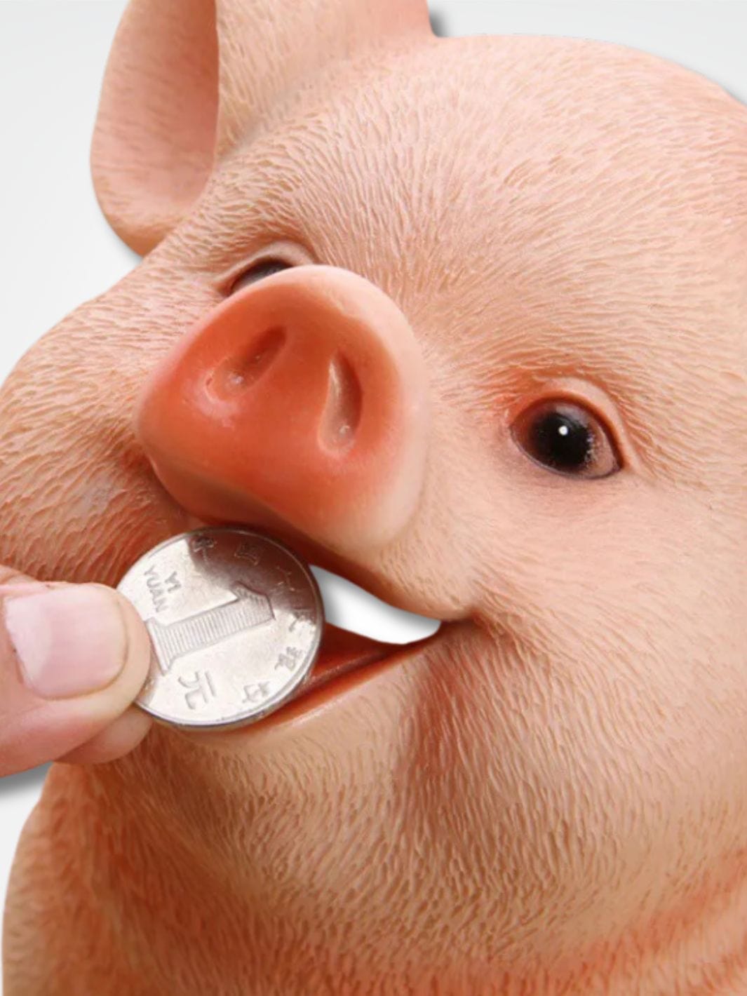 Gros cochon tirelire <br> Le mangeur de pièces