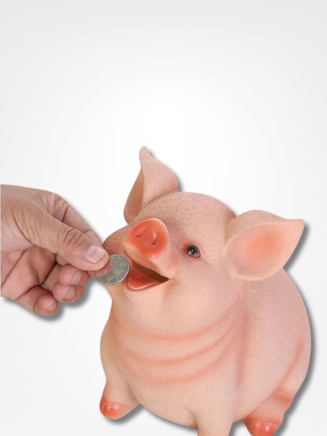 Gros cochon tirelire <br> Le mangeur de pièces