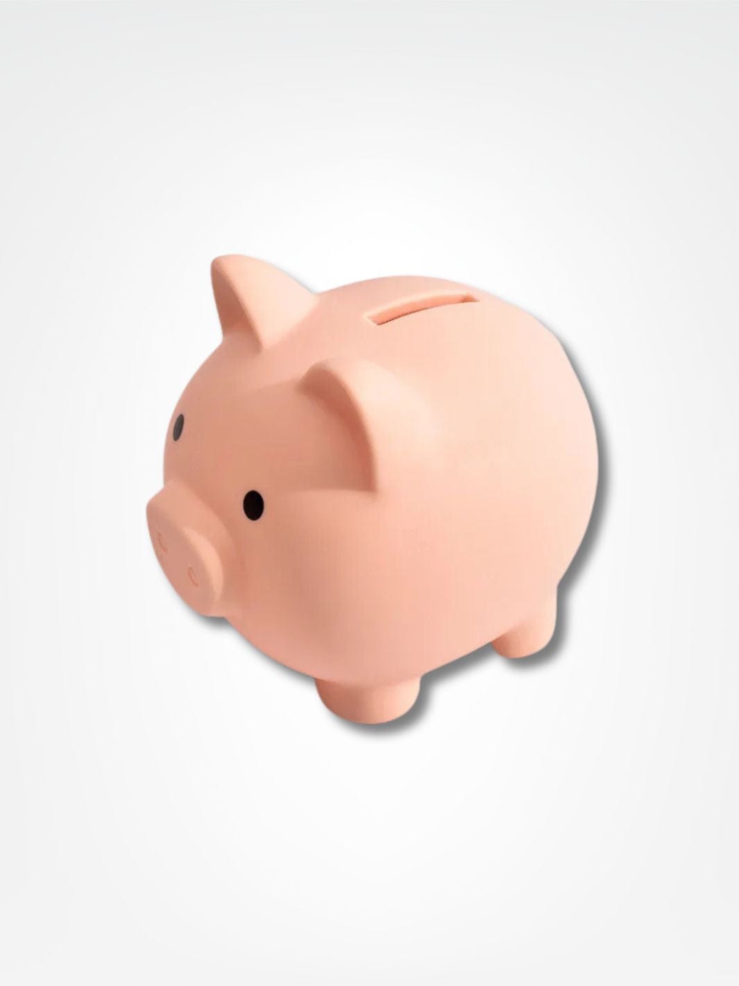 Tirelire en cochon <br> La petite économie Chair