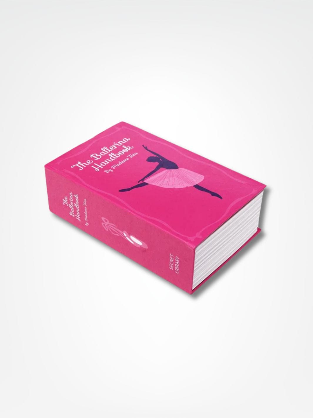 Tirelire livre <br> Secrète et Sécurisée