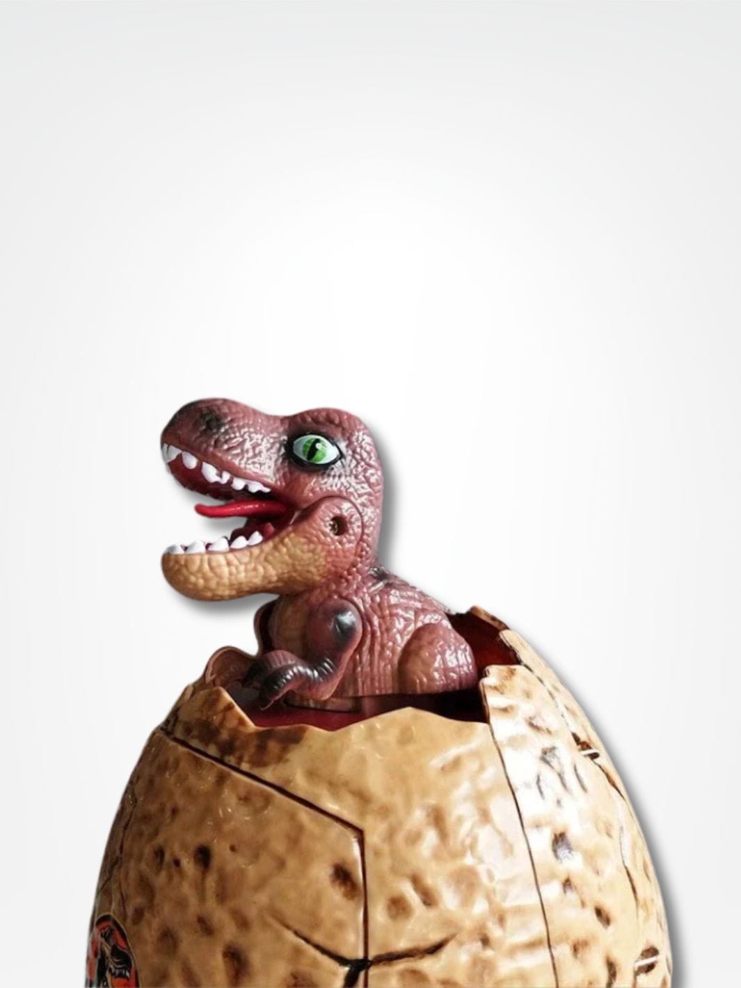 Tirelire oeuf <br> Le fossile de dinosaure