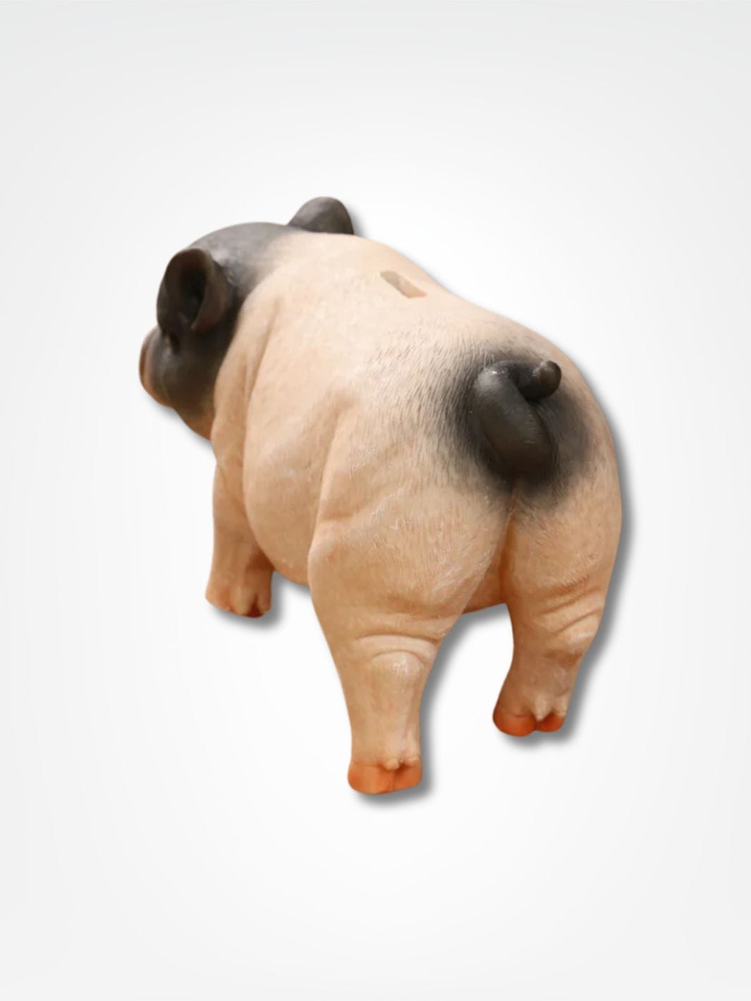 Tirelire petit cochon <br> Rigolo et Pratique