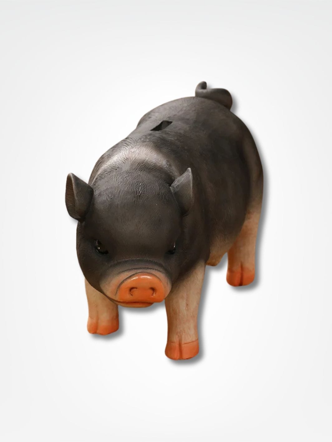 Tirelire petit cochon <br> Rigolo et Pratique Noir